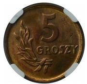 5 Groszy Trial Strike T reverse image