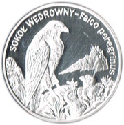 20 Zlotys Sokół wędrowny (Falco peregrinus), Poland, 2008 reverse image