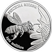 20 Zlotys Pszczoła miodna (Apis mellifera), Poland, 2015 reverse image