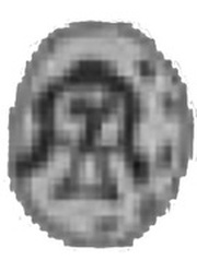 Obol - Casimir III the Great Kraków mint obverse image