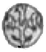 Obol - Casimir III the Great Kraków mint reverse image