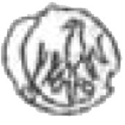 Denier - Casimir III the Great Kraków mint reverse image