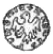 Denier poznański - Casimir III the Great Poznań mint obverse image