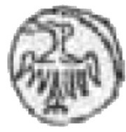 Denier poznański - Louis I of Hungary Poznań mint obverse image