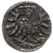 Denier gdański - Sigismund II Augustus Gdańsk mint reverse image