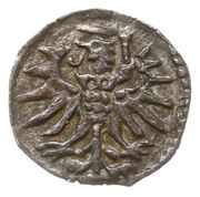 Denier elbląski - Sigismund II Augustus Elbląg mint obverse image
