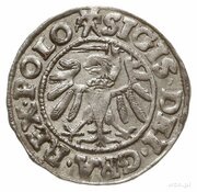 Szeląg gdański - Sigismund I the Old Gdańsk mint obverse image
