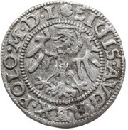 Szeląg gdański - Sigismund II Augustus Gdańsk mint obverse image