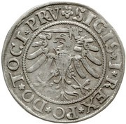 Grosz elbląski - Sigismund I the Old Elbląg mint obverse image