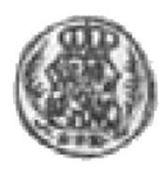 Halerz - August II Mocny Lipsk mint obverse image