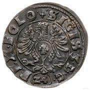 Półtorak / 3 Polker - Sigismund III Vasa Bydgoszcz mint obverse image