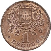 1 Escudo Pattern reverse image