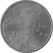 5 Euros Alcar from Algarve obverse image