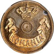 20 Bani Pattern obverse image