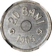 20 bani Pattern reverse image