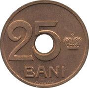 25 Bani - Ferdinand I Pattern Strike reverse image