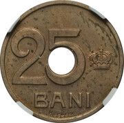25 Bani - Ferdinand I Pattern Strike reverse image