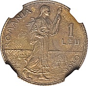 1 Leu - Carol I Pattern Strike reverse image