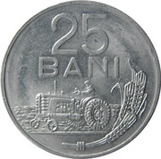 25 Bani reverse image