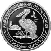 50 Lei Dalmatian Pelican, Romania, 2003 reverse image