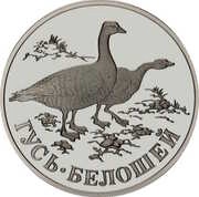 1 Rouble The White-Neck Goose, Russia, 1998 reverse image
