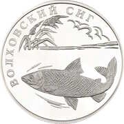1 Rouble White-Fish of the Volkhov River, Russia, 2005 reverse image
