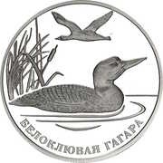 2 Roubles Yellow-billed Loon, Russia, 2012 reverse image