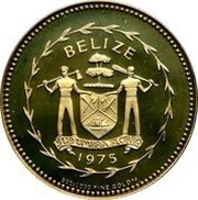 100 Dollars United Nations obverse image