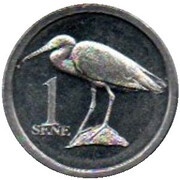 1 Sene Pacific Reef Heron reverse image