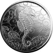 2 Tala Seahorse reverse image
