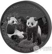 5000 Francs CFA Giant Panda reverse image