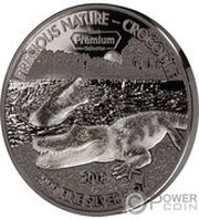 5000 Francs CFA Crocodile, Benin, 2018 reverse image