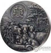 20 000 Francs CFA Lion cub obverse image