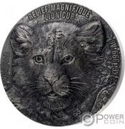 20 000 Francs CFA Lion cub, Benin, 2023 reverse image