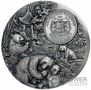 20 000 Francs CFA Panda cub obverse image