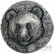 20 000 Francs CFA Panda cub, Benin, 2024 reverse image