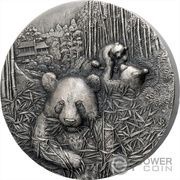 50 000 Francs CFA Giant Panda reverse image