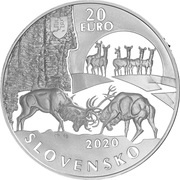 20 Euros Polana obverse image