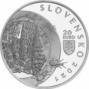 20 Euros Demänovská Cave of Liberty obverse image