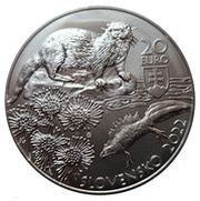 20 Euros Kysuce obverse image