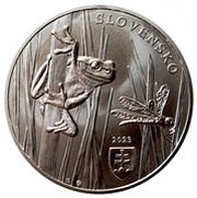 20 Euros Vihorlat obverse image