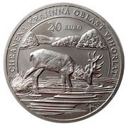 20 Euros Vihorlat reverse image