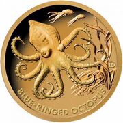 1 Dollar - Elizabeth II Blue-Ringed Octopus, Solomon Islands, 2019 reverse image