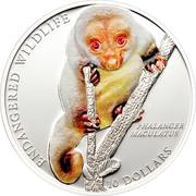 10 Dollars - Elizabeth II Common Spotted Cuscus, Solomon Islands, 2010 reverse image