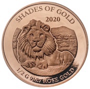 10 Dollars - Elizabeth II African Lion, Solomon Islands, 2020 reverse image