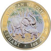100 Shillings Elephant, Somalia, 2007 reverse image