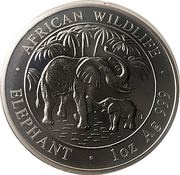 100 Shillings Silver Mother Elephant and baby reverse image