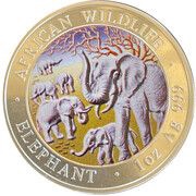 100 Shillings Elephant, Somalia, 2008 reverse image