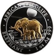 100 Shillings Elephant Gilded; Silver, Somalia, 2011 reverse image