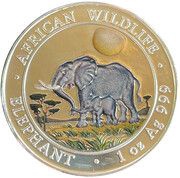 100 Shillings Elephant, Somalia, 2011 reverse image